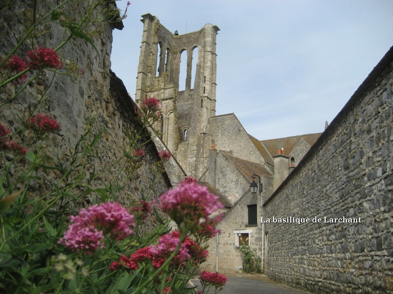 Gite des 3 petits ours - Le Vaudoué