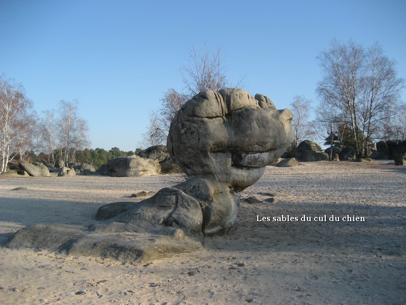 Gite des 3 petits ours - Le Vaudoué