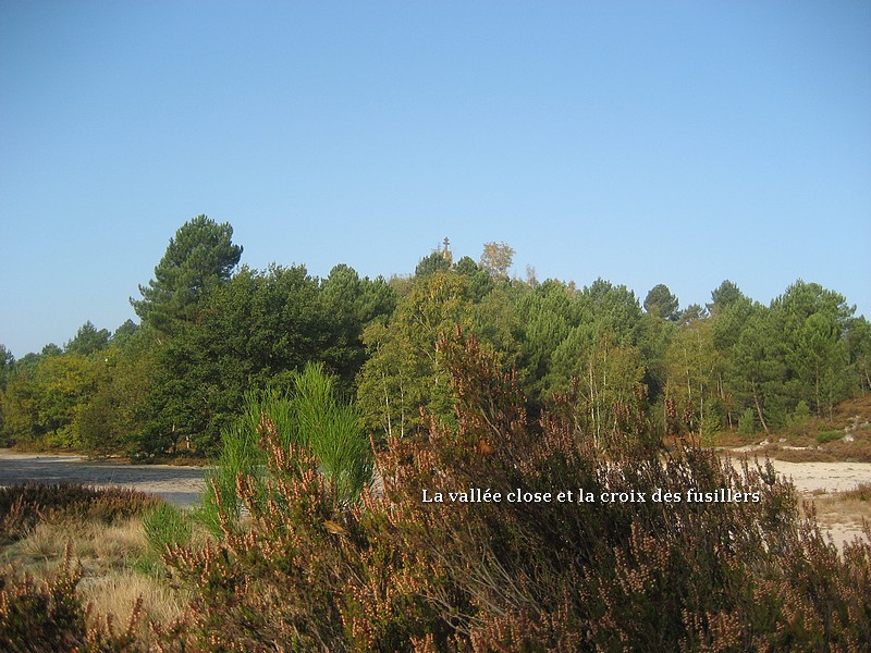 Gite des 3 petits ours - Le Vaudoué